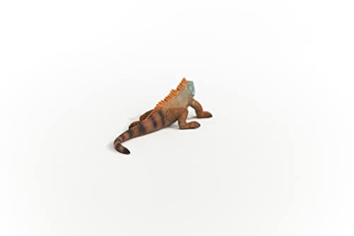 Schleich Wild Life - Iguana Toy Figurine - Kids Ages 3+ | 14854 - style: Iguana