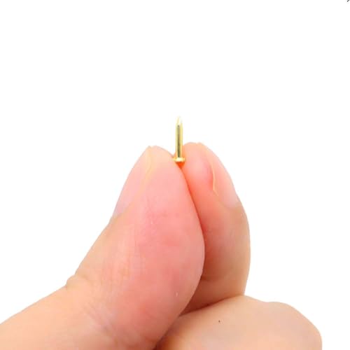 Tiny Wooden Nails for DIY Craft Projects, Antique Drawer Repairing, Mini Boxes Decorative Accessories[Set of 200pcs] (1×6mm, Gold) - color: Gold, style: 1*6mm