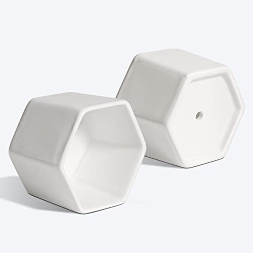 T4U Small Succulent Pots 12 Pack, Mini Flower Planters with Drainage White - color: Hexagon