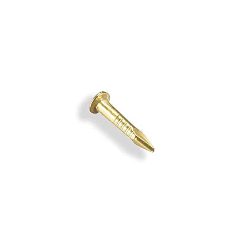 Tiny Wooden Nails for DIY Craft Projects, Antique Drawer Repairing, Mini Boxes Decorative Accessories[Set of 200pcs] (1×8mm/0.31inch, Gold) - color: Gold, style: 1*8mm