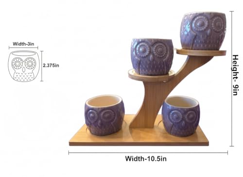 Blisse Wood Owl Planter Set for Home Décor - Blue Ceramic Owl Pots with Wooden Stand, Cute Indoor Succulent & Tabletop Planters for Shelves, Windowsills & Gifts - color: Blue