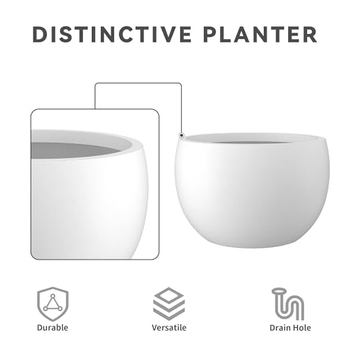 Kante Accent Round Bowl White Concrete Planter 15.7" Dia, Outdoor - color: Pure White, size: 15.7" d