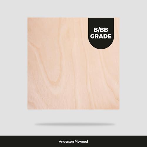 3MM 1/8" x 12" x 24" Baltic Birch Plywood – B/BB Grade (6pk) Perfect for Arts and Crafts, School Projects and DIY Projects, Drawing, Painting, Wood Engraving, Wood Burning and Laser Projects - color: Pack of 6, size: 1/8" x 12" x 24"