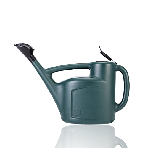 Small Watering Can for Indoor Plants with Lid & Long Spout, Drip-Free, 3L - size: 3L