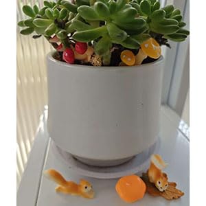 14 Pcs Miniature Squirrel Figurines Mushroom Decors Tiny Resin Squirrel Mushroom Fairy Ornament for Outdoor Landscape Garden Lawn Pot DIY Cake Decorations
