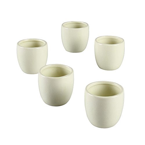 Ivy Lane Design Smooth Round Favor Flower Pot, Ivory, Set of 5 - color: Ivory, size: Round