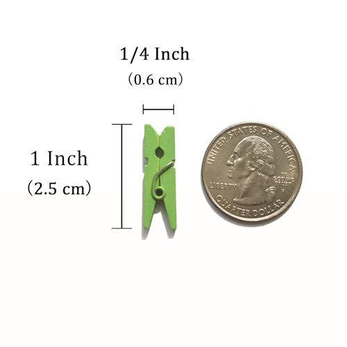 LWR CRAFTS Wooden Mini Clothespins 100 Per Pack 1" 2.5cm (Lime Green) - color: Lime Green