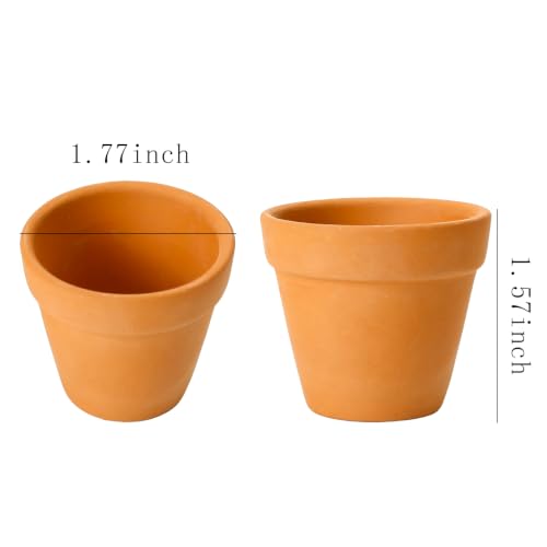 ONEST 15 Pieces Miniature Tiny Clay Pots Mini Flower Pottery Planter for DIY Garden Plants Office Home Decoration - color: 15 Pieces