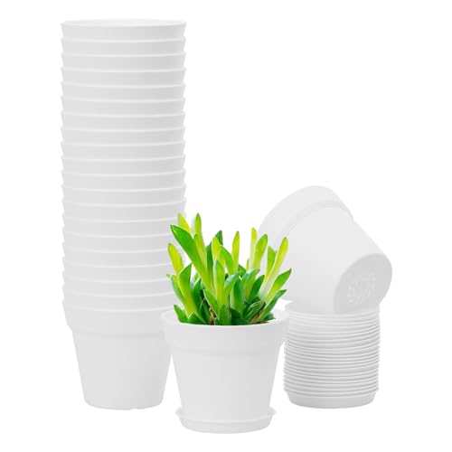 GARDIFE 20 Pack 4 inch Plant pots, planters for Indoor Plants, Flower pots, White - color: 4-white, size: 4 inch