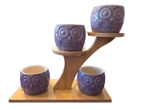 Blisse Wood Owl Planter Set for Home Décor - Purple Ceramic Owl Pots with Wooden Stand, Cute Indoor Succulent & Tabletop Planters for Shelves, Windowsills & Gifts - color: Purple