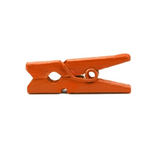 LWR CRAFTS Wooden Mini Clothespins 100 Per Pack 1" 2.5cm (Orange) - color: Orange