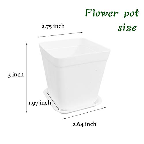 24 Pack 3 Inch White Square Plastic Plant Pots with Saucers,Nursery Seedling Pots with Drainage Hole,Small Planter Containers for Succulents,Flowers,Indoor Outdoor Garden,Home Office Balcony Decor - size: 24 Pack White