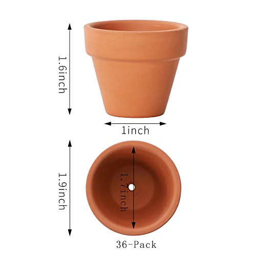 Yishang 1.9 Inch Tiny Terracotta Pots Pack of 36-Small Mini Clay Pots with Drainage Holes Flower Nursery Terra Cotta Planter for Tiny Cactus Herb lithop,Succulent Plants,Crafts,Wedding Favor - color: Terracotta