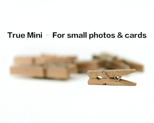 LWR CRAFTS Wooden Mini Clothespins 100 Per Pack 1" 2.5cm (Golden) - color: Golden