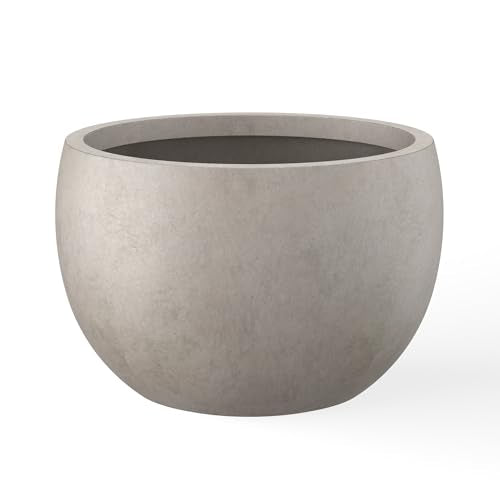 Kante 7.9" Tall Round Bowl Concrete Planter, Weathered Finish for Home - color: Weathered Concrete, size: 11.8" d