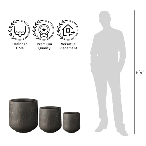 Kante 13.4" Tall Round Curved Concrete Planter, Oil Rubbed Bronze - color: Oil Rubbed Bronze, size: 11.6" D