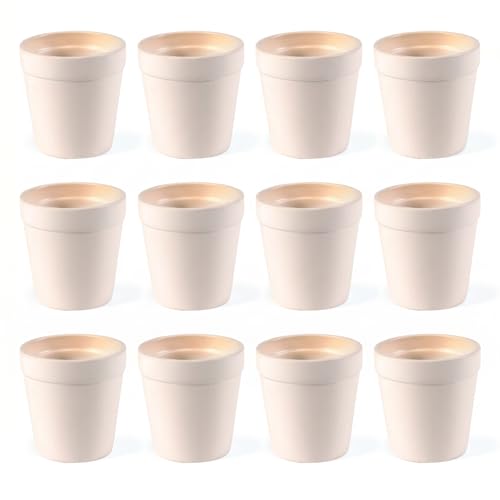 Fun Express Mini Flower Pots Ceramic, Unpainted White, 3 Inch, Set of 12