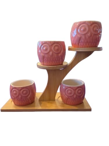 Blisse Wood Owl Planter Set for Home Décor - Pink Ceramic Owl Pots with Wooden Stand, Cute Indoor Succulent & Tabletop Planters for Shelves, Windowsills & Gifts - color: Pink