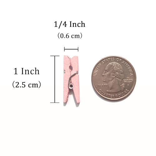 LWR CRAFTS Wooden Mini Clothespins 100 Per Pack 1" 2.5cm (Light Pink) - color: Light Pink