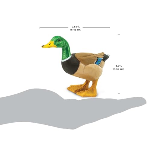 Safari Ltd. Mallard Duck Figurine - Hand-Painted, Realistic 3" Model Figure - Fun Educational Toy for Boys, Girls & Kids Ages 3+