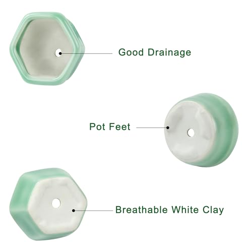 Bonsai Planter 1.8 inch (4.5cm) Mini Succulent Glazed Pots Set of 18 Green - color: Green