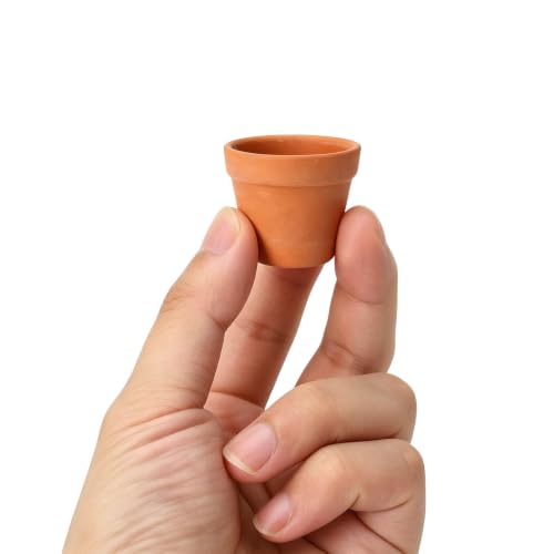 ONEST 15 Pieces Miniature Tiny Clay Pots Mini Flower Pottery Planter for DIY Garden Plants Office Home Decoration - color: 15 Pieces
