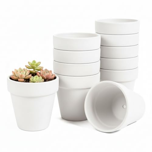 White 4 Inch, Terracotta Clay Pots with Drainage Holes, Pack of 24, for Succulents and Plants, DIY Crafts - color: White