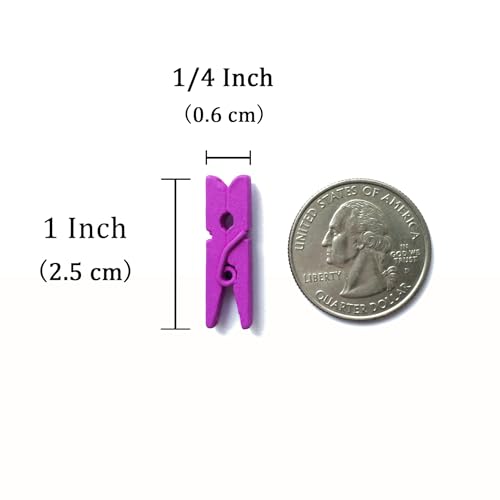 LWR CRAFTS Wooden Mini Clothespins 100 Per Pack 1" 2.5cm (Purple) - color: Purple