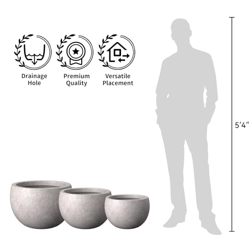 Kante Accent Round Bowl CON Gray Concrete Planter 15.7" Dia, Outdoor - color: Light Gray, size: 15.7" d