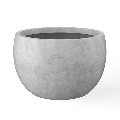 Kante Small Round Bowl Pale Gray Concrete Planter 11.8" Dia, Outdoor - color: Natural Concrete, size: 11.8" d