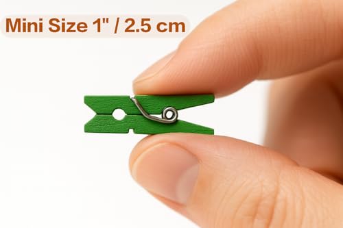 LWR CRAFTS Wooden Mini Clothespins 100 Per Pack 1" 2.5cm (Classic Green) - color: Kelly/Classic Green