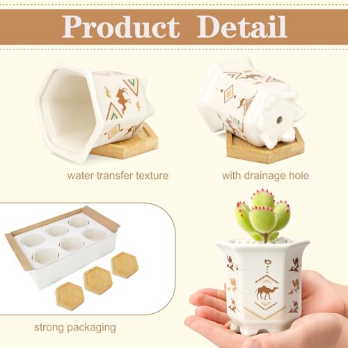 3.3 Inch Small Succulent Pots with Drainage and Bamboo Tray Set of 6 - color: Mid-e-hexagon-tall