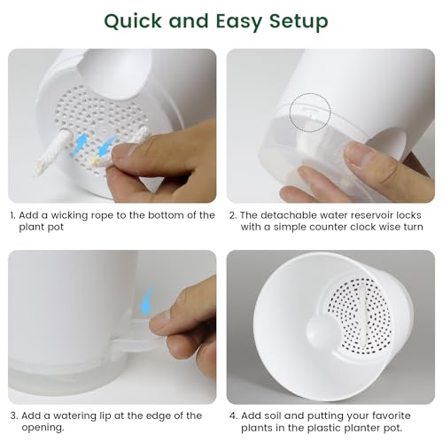 Meowell 6 inch Self Watering Pots for Indoor Outdoor Plants, 6 Pack Flower Plant Pots with Drainage Holes and Clear Reservoirs, Visible Water Level, Plastic Planters with Wicking Rope, White - color: White, size: 6in 6pcs