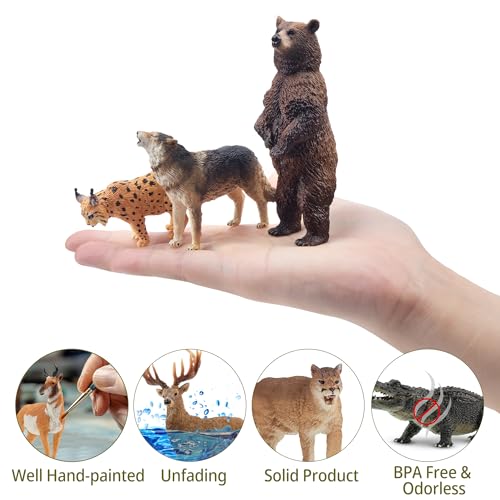 Toymany 12PCS Realistic North American Forest Animal Figurines Jungle Zoo - style: North American Animals