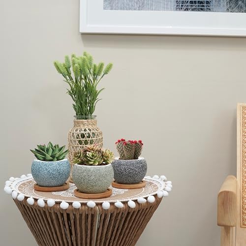 3 inch Ceramic pots for Plants, Small Succulent Pots Set with Drainage, 6 Pack Flower Pot for Indoor Plant, Planters for Little or mini Cactus 2 inches Plants
