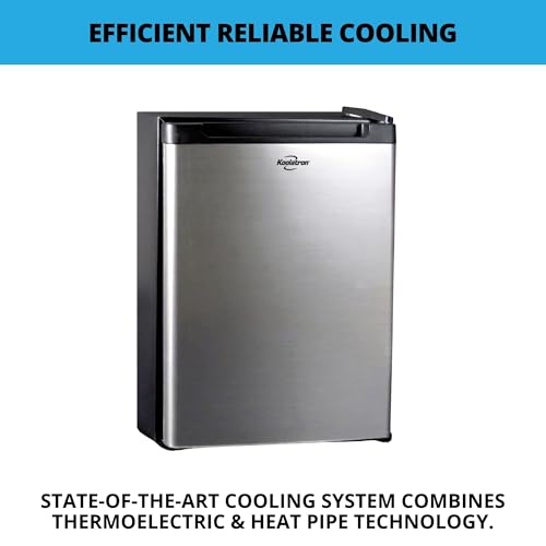 Koolatron 1.76 Cu. Ft. AC/DC Portable Fridge, Stainless Steel - color: Platinum Silver, size: Standard