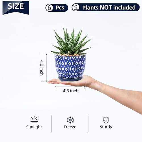 Selamica Ceramic Succulent Pots, 4.6 Inch Small Plant Pots with Drainage Holes & Saucers, Succulent Planters for Indoor Plants Cactus, Home Decor, Set of 6, Vintage Blue - color: Vintage Blue, size: 4.6 Inch, Set of 6