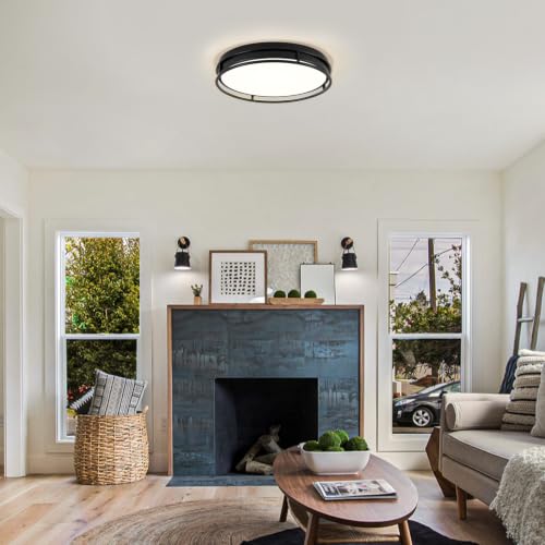 Modern Flush Mount Ceiling Light, Black Dimmable Ceiling Light Fixture - color: Black, size: 16.5in
