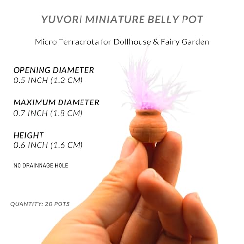 Mini Terracotta Pots – Small Clay Flower Pots for Succulents, Cactus, DIY Crafts, Fairy Garden, School Projects, Mini Planters – Set of 20 (Belly (No Drain Hole), 0.5 Inch) - size: 0.5 Inch, style: Belly (No Drain Hole)
