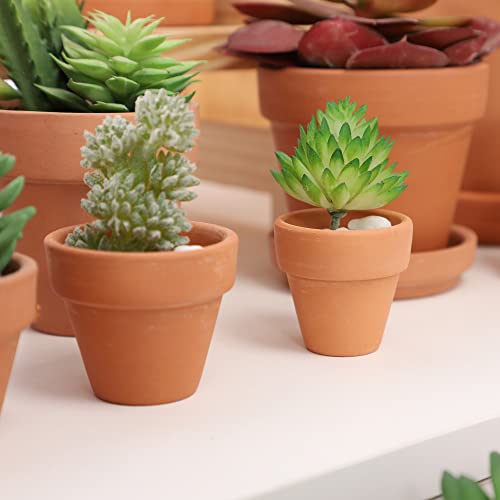 Yishang 1.9 Inch Tiny Terracotta Pots Pack of 72-Small Mini Clay Pots with Drainage Holes Flower Nursery Terra Cotta Planter for Tiny Cactus Herb lithop,Succulent Plants,Crafts,Wedding Favor - color: Terracotta