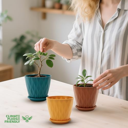 YNNICO 4 inch Plant Pots for Indoor with Drainage Holes and Tray Saucers - color: Multicolor, size: 4 inch