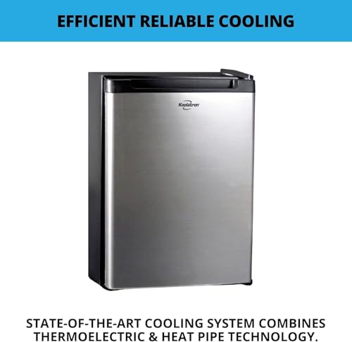 Koolatron 1.76 Cu. Ft. AC/DC Portable Fridge, Stainless Steel - color: Platinum Silver, size: Standard