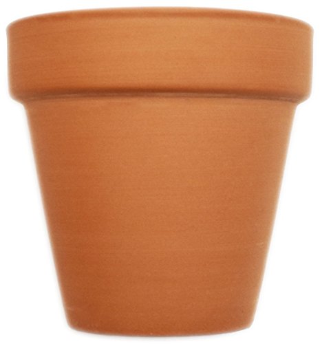 Black Duck Brand Set of 16 Terra Cot Pot Planter 2-1/2" x 2-1/2" Lawn & Garden Mini Flower Pots - 2.5" x 2.5" Terra Cotta (16)