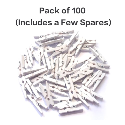 LWR CRAFTS Wooden Mini Clothespins 100 Per Pack 1" 2.5cm (White) - color: White