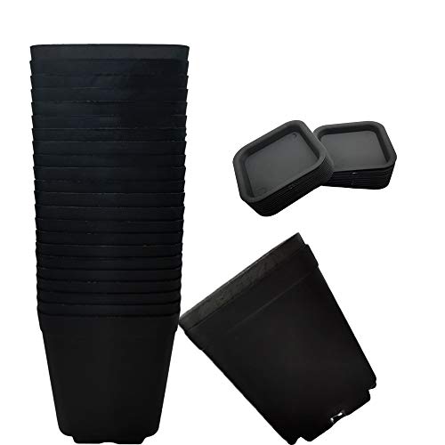 OJYUDD 24 Pack 3 Inch Black Nursery Pot Flower Pots Square Plastic Plant Pot Plastic Starter Pots with Saucer Basket Indoor Outdoor for Your Room,Garden Office and Balcony Decor - size: 24 Pack Black