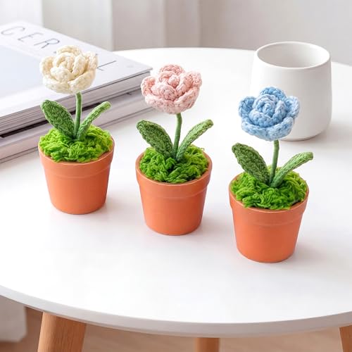 50 Sets Mini Knit Plants DIY Craft