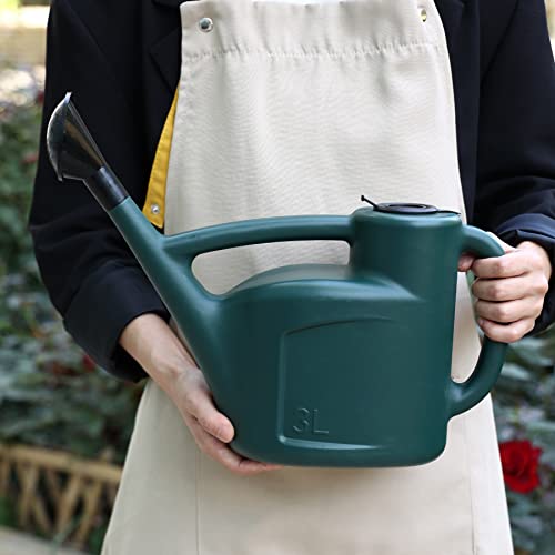 Small Watering Can for Indoor Plants with Lid & Long Spout, Drip-Free, 3L - size: 3L