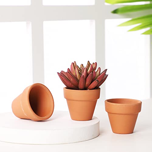 Yishang 1.9 Inch Tiny Terracotta Pots Pack of 36-Small Mini Clay Pots with Drainage Holes Flower Nursery Terra Cotta Planter for Tiny Cactus Herb lithop,Succulent Plants,Crafts,Wedding Favor - color: Terracotta