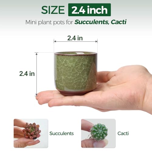 T4U Mini Succulent Pots, Small Ceramic Planters, Retro Gift Set of 12 - size: 2.4"*2.4"