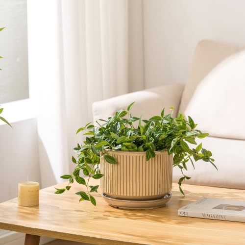 SURE YUESI Ceramic Plant Pots Set of 3, Indoor Outdoor Planters with Drainage Hole and Saucer, Ceramic Flower Pots for Indoor Plants, 4.3+5.5+6.8 Inch, Home, Garden, Patio and Office, Glossy Beige - color: Beige